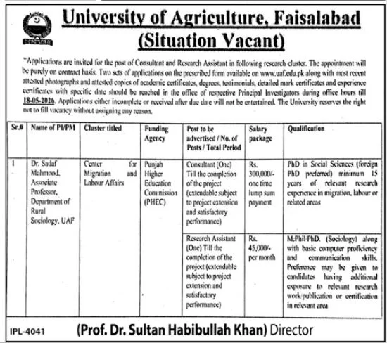 Consultant - Center for Migration and Labour Affairs - Faislabad