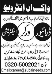 Driver, Worker & Electrician - Walk-in Interview Zubair Feeds 2026 - Rawalpindi