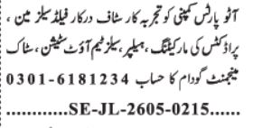 Field Salesman, Marketing & Godown Accountant - Auto Parts Company 2026 - Lahore