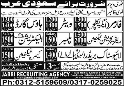 Farmer (Agriculture), Waiter, House Guard, Refrigeration Technician, Plumber, Building Electrician, Livestock Breeder, and Camera Technician. - Rawalpindi