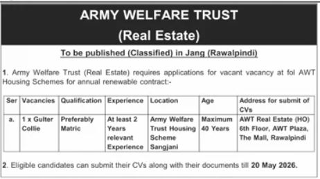 Gutter Collie (1 vacancy). - Rawalpindi