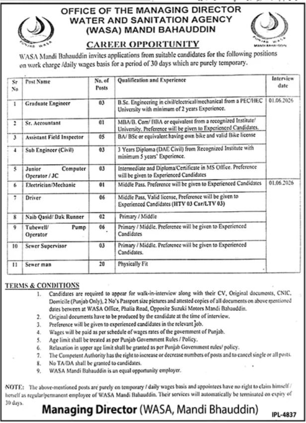 Graduate Engineer - Mandi Bahauddin