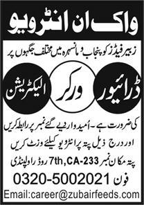 Driver  Worker  Electrician - Rawalpindi