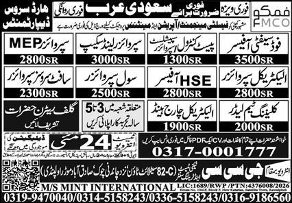 Saudi Arabia - MEP/HSE Technical Staff - Saudi Arabia