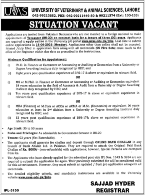 UVAS Lahore - Treasurer IBS-20 Contract - Lahore