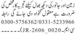 Chowkidar & Zameendar Required - Not specified
