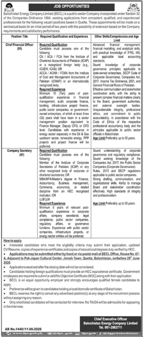 Model Pharmacy Management Committee RIC Director Procurement Technical Finance IT Jobs - Rawalpindi
