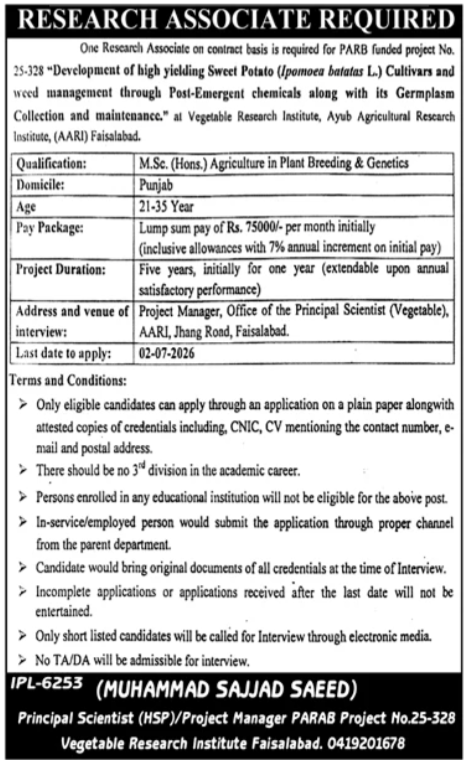 Research Associate Vegetable Research Institute Ayub Agricultural Research Institute Faisalabad - Faisalabad