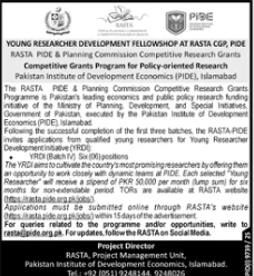 Young Researcher Development Fellowship - RASTA PIDE